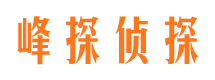 岳塘市婚外情调查